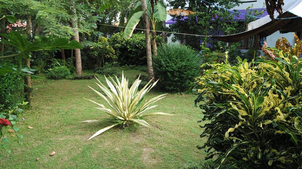 Arabian Soul Bed & Breakfast วาร์คาลา ภายนอก รูปภาพ