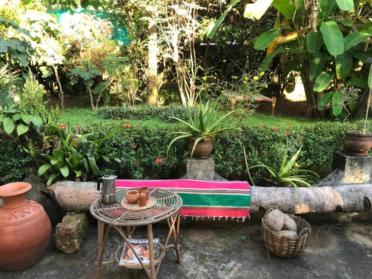 Arabian Soul Bed & Breakfast วาร์คาลา ภายนอก รูปภาพ